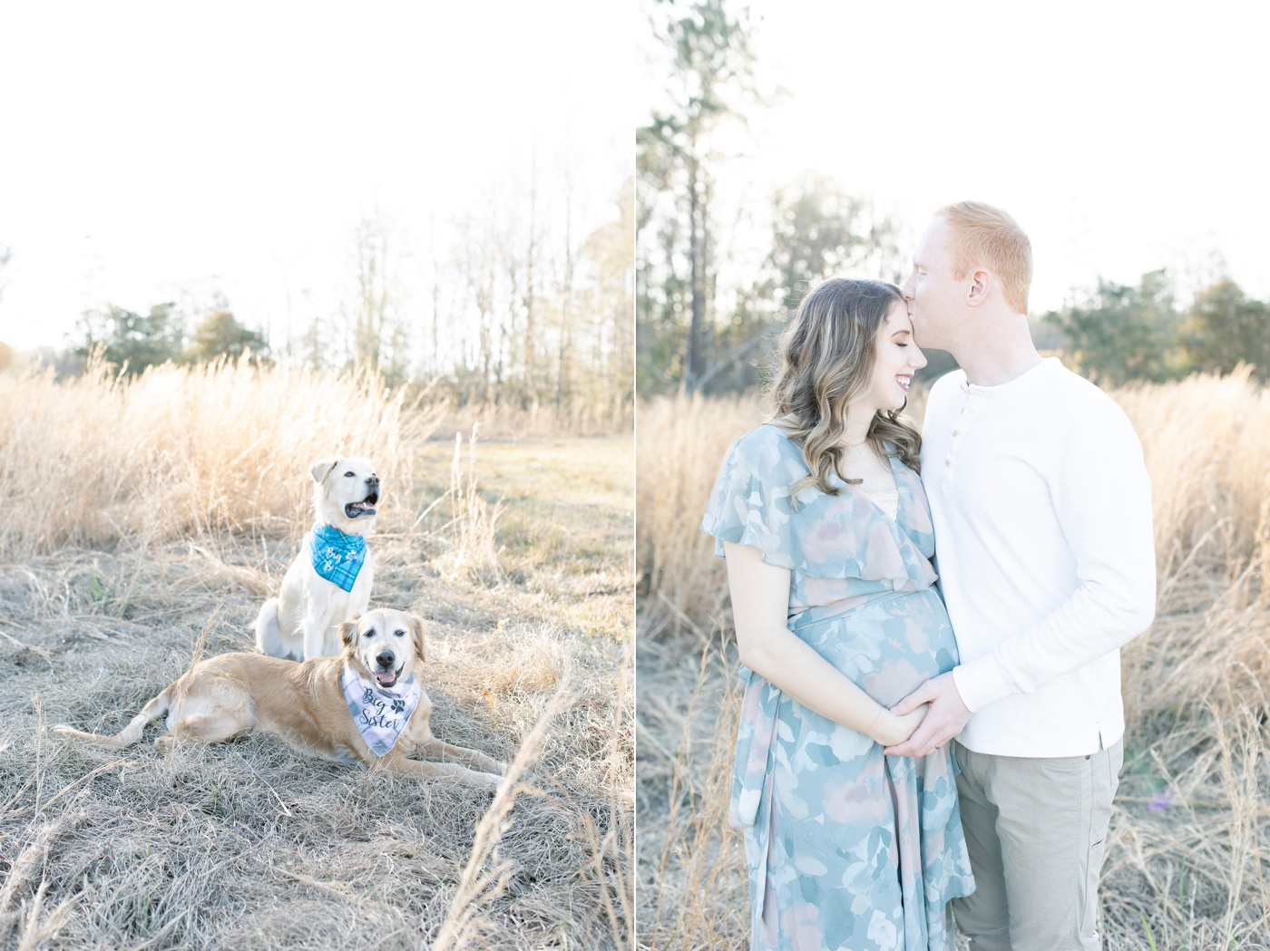 Sunset field maternity session with fur-babies. Photo by Little Sunshine Photography.