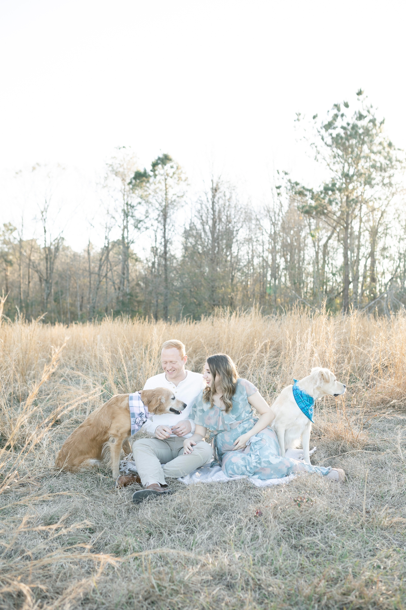 Couple sitting in field with two dogs for photos with Little Sunshine Photography.