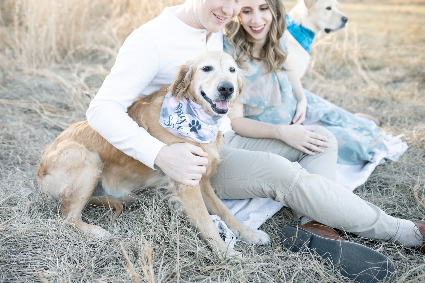 Maternity photoshoot with family dogs. Photo by Little Sunshine Photography.