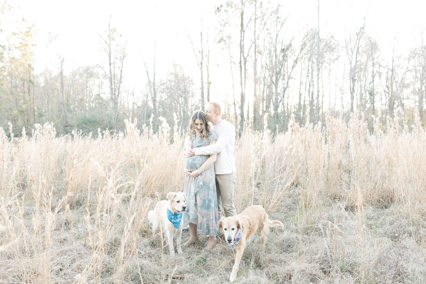 Dogs running around field while Mom and Dad have maternity photos taken with Little Sunshine Photography.
