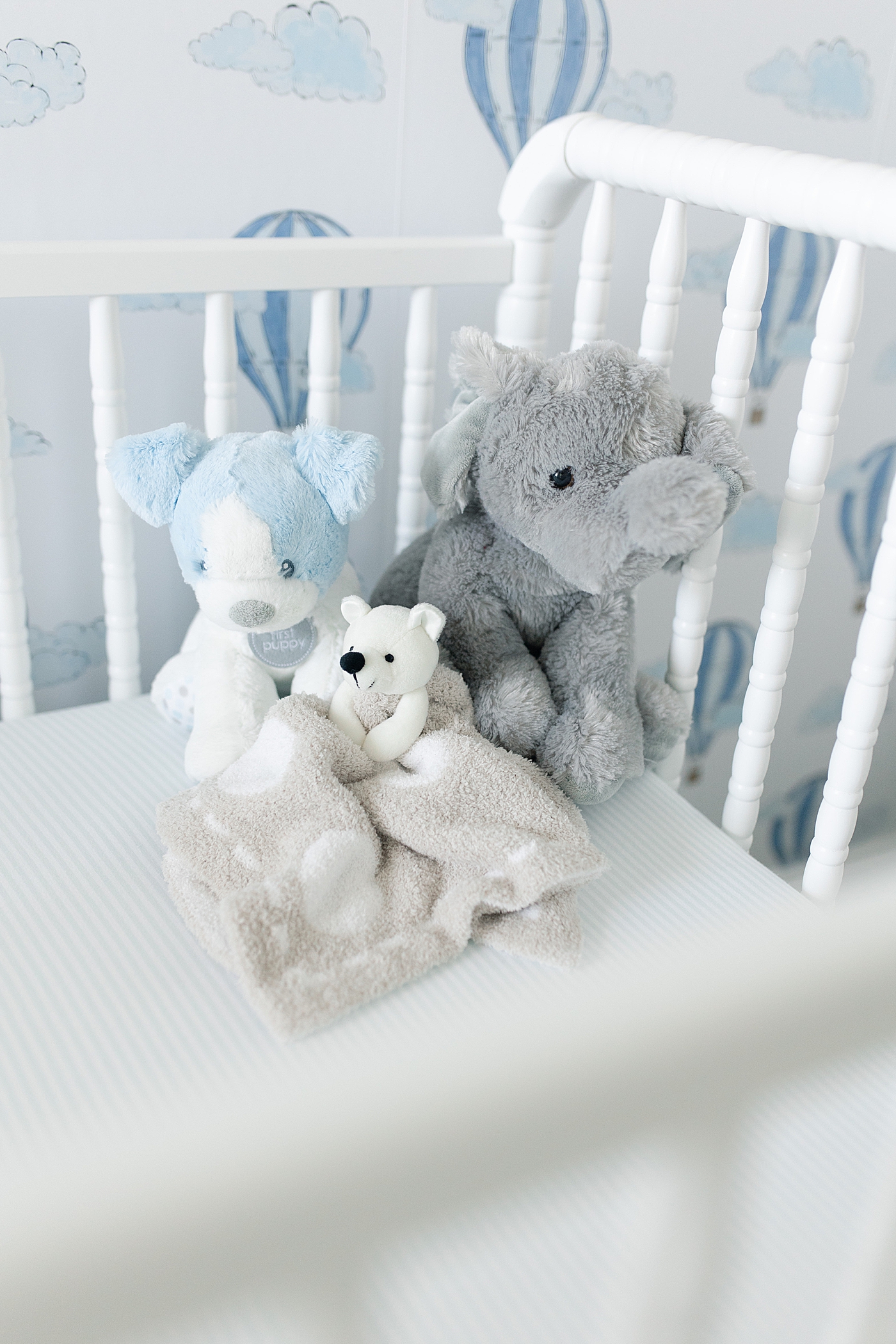 Stuffed blue and gray lovies in crib | Photo by Long Beach Newborn Photographer Little Sunshine Photography