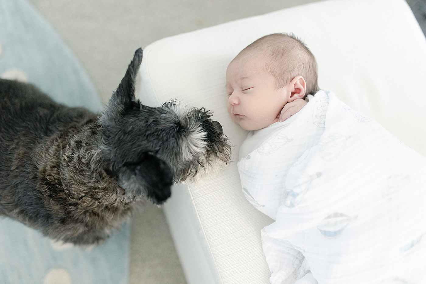 Newborn baby boy and his pup | Photo by Little Sunshine Photography