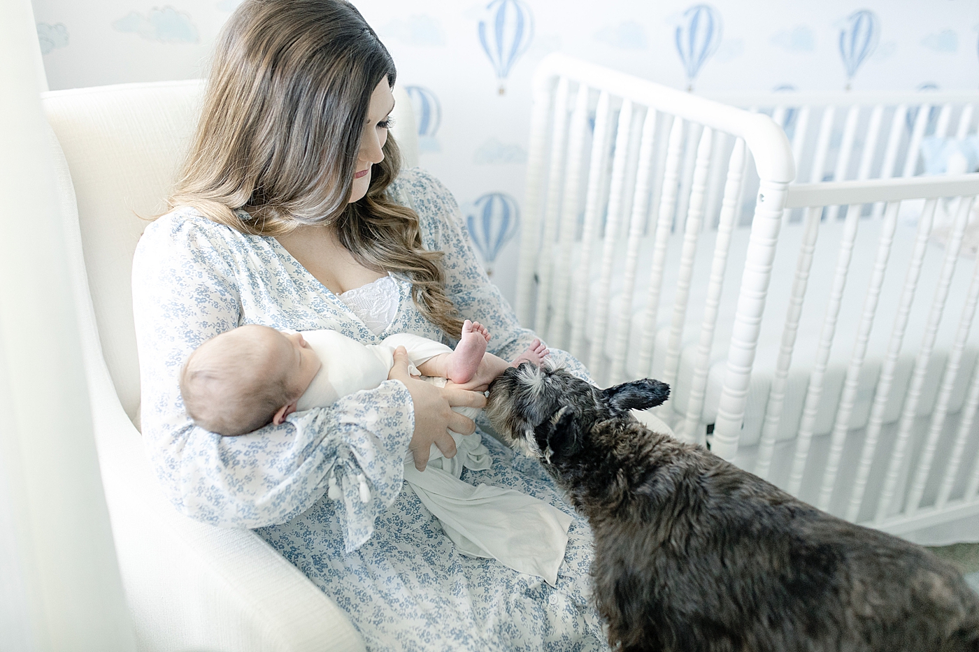 Puppy sniffing newborns toes while mom holds him | Photo by Little Sunshine Photography