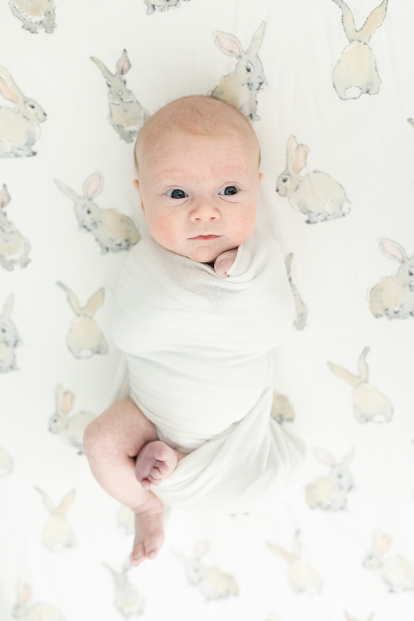 Baby wrapped in swaddle on bunny sheets | Photo by Little Sunshine Photography